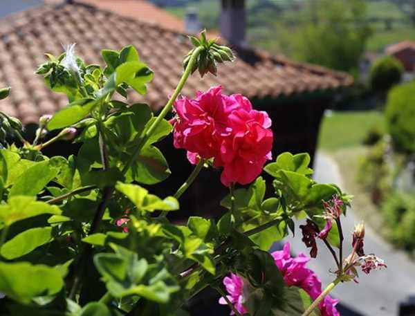 Casa Rural La Tayuela Luanco Exterior foto